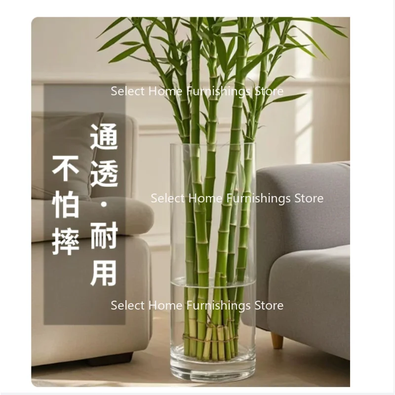 Suitable for Vase Transparent Large King Floor Height 4050cm Large Diameter Plastic
Suitable for Vase Transparent Large King Floor Height 4050cm Large Diameter Plastic