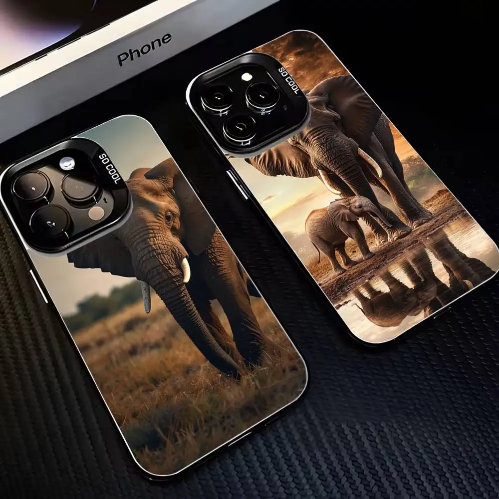 Animal Elephant Phone Case For iPhone 16,15,14,13,12,11,Mini,Pro,MAX Black Matte Shockproof Cover
Animal Elephant Phone Case For iPhone 16,15,14,13,12,11,Mini,Pro,MAX Black Matte Shockproof Cover