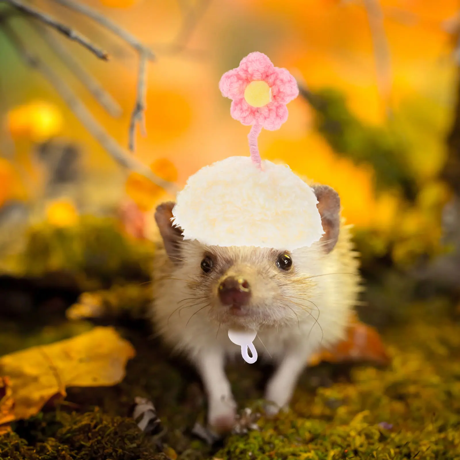 Flower Hat Small Animals Hats Pet Knitted Headgear Mini Yarn Crochet for Hamster Snakes
Flower Hat Small Animals Hats Pet Knitted Headgear Mini Yarn Crochet for Hamster Snakes