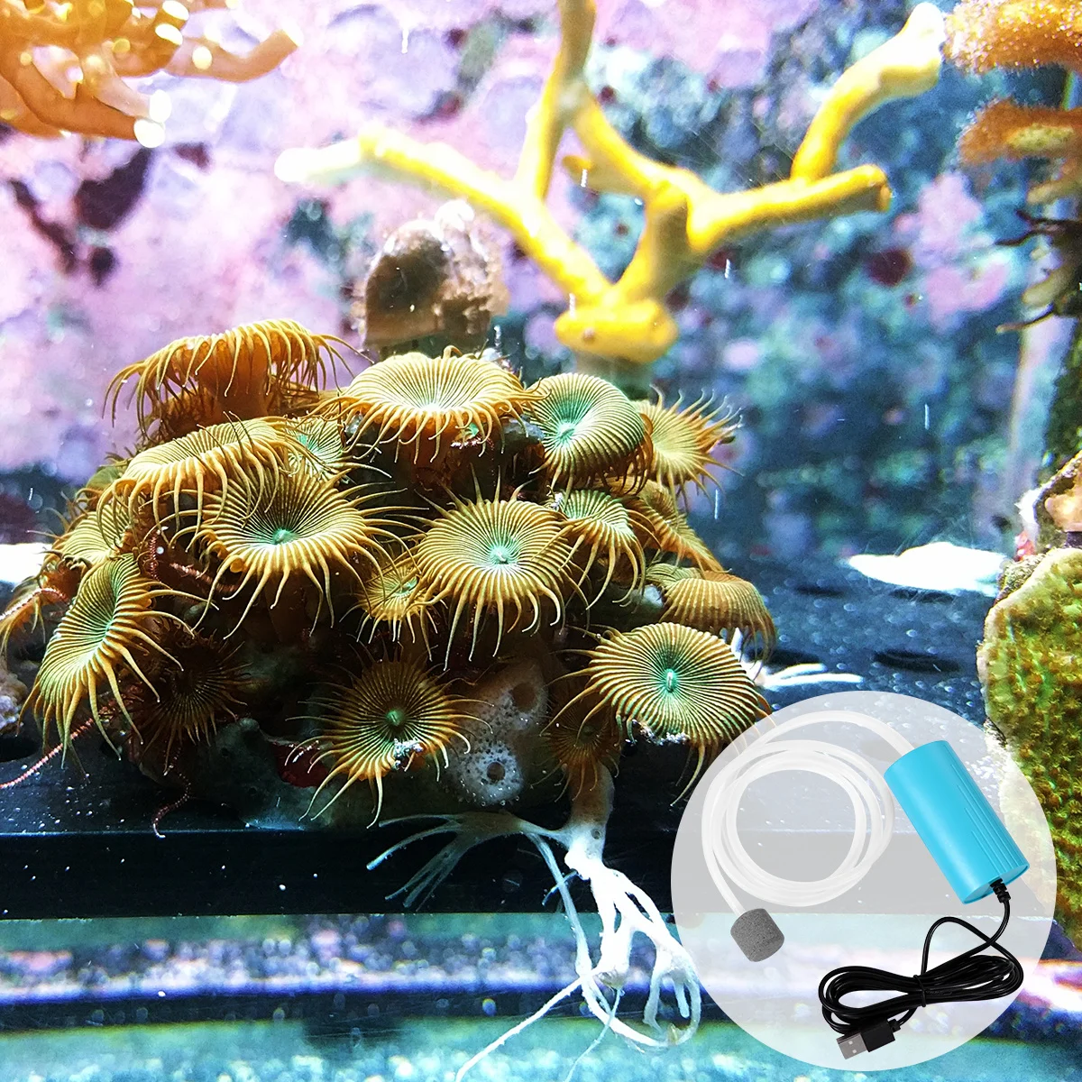 Upgraded Thickened Copper Core Usb Oxygen Mini Aquarium Pump Silent Fish Tank Accessory Long Lasting Large Gas Flow Outdoor
Upgraded Thickened Copper Core Usb Oxygen Mini Aquarium Pump Silent Fish Tank Accessory Long Lasting Large Gas Flow Outdoor