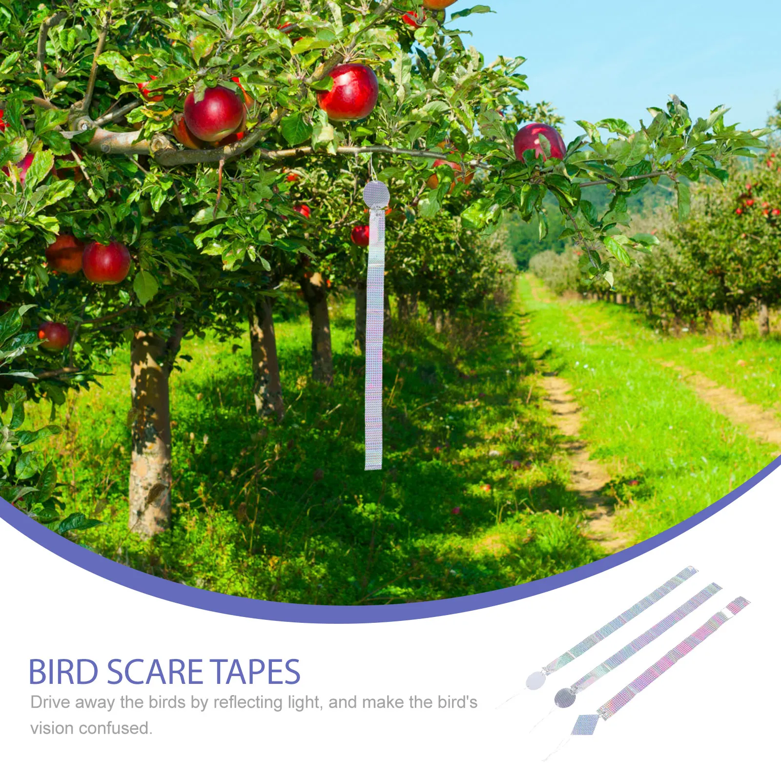 3pcs Double Sided Reflective Scaring Tape Durable Uv Resistant Bird Repellent Ribbon Long Lasting Humane Bird Deterrent Useful
3pcs Double Sided Reflective Scaring Tape Durable Uv Resistant Bird Repellent Ribbon Long Lasting Humane Bird Deterrent Useful