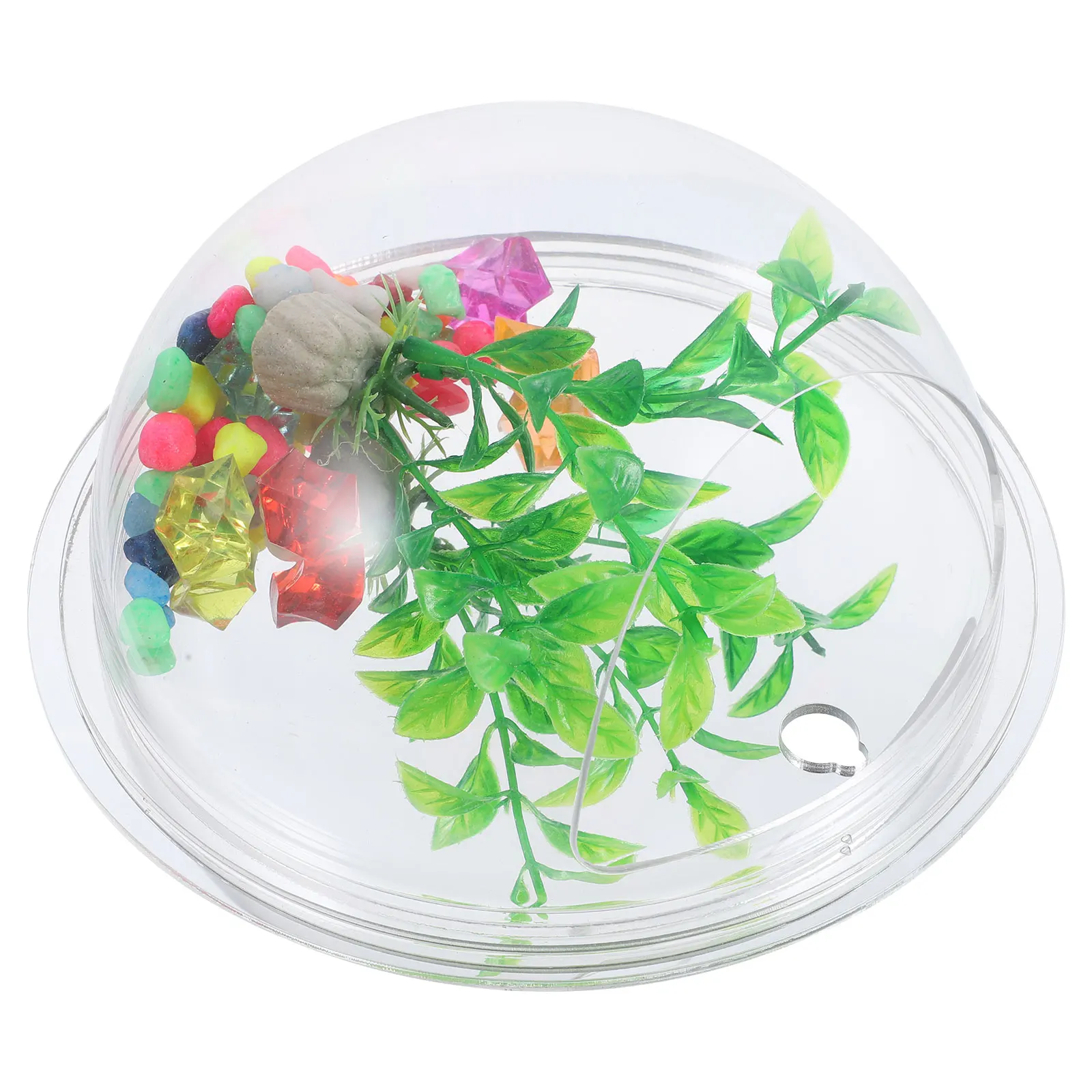 WallMounted Acrylic Vase 17cm Diameter Mirror Finish Hanging Fish Tank Planter Decor Vintage Flower Vase for Home Party Gifts
WallMounted Acrylic Vase 17cm Diameter Mirror Finish Hanging Fish Tank Planter Decor Vintage Flower Vase for Home Party Gifts