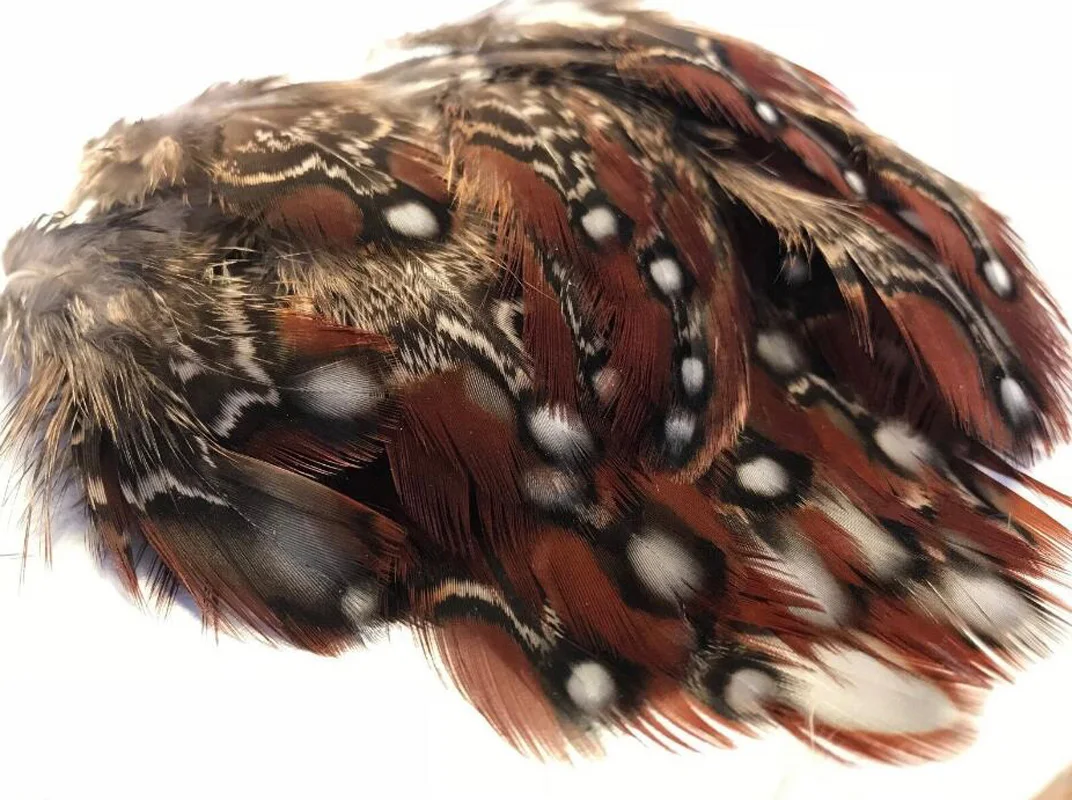Natural Tragopan Pheasant feathers brown craft feathers for Crafts&Costume,5-7CM long ,50pcs
Natural Tragopan Pheasant feathers brown craft feathers for Crafts&Costume,5-7CM long ,50pcs