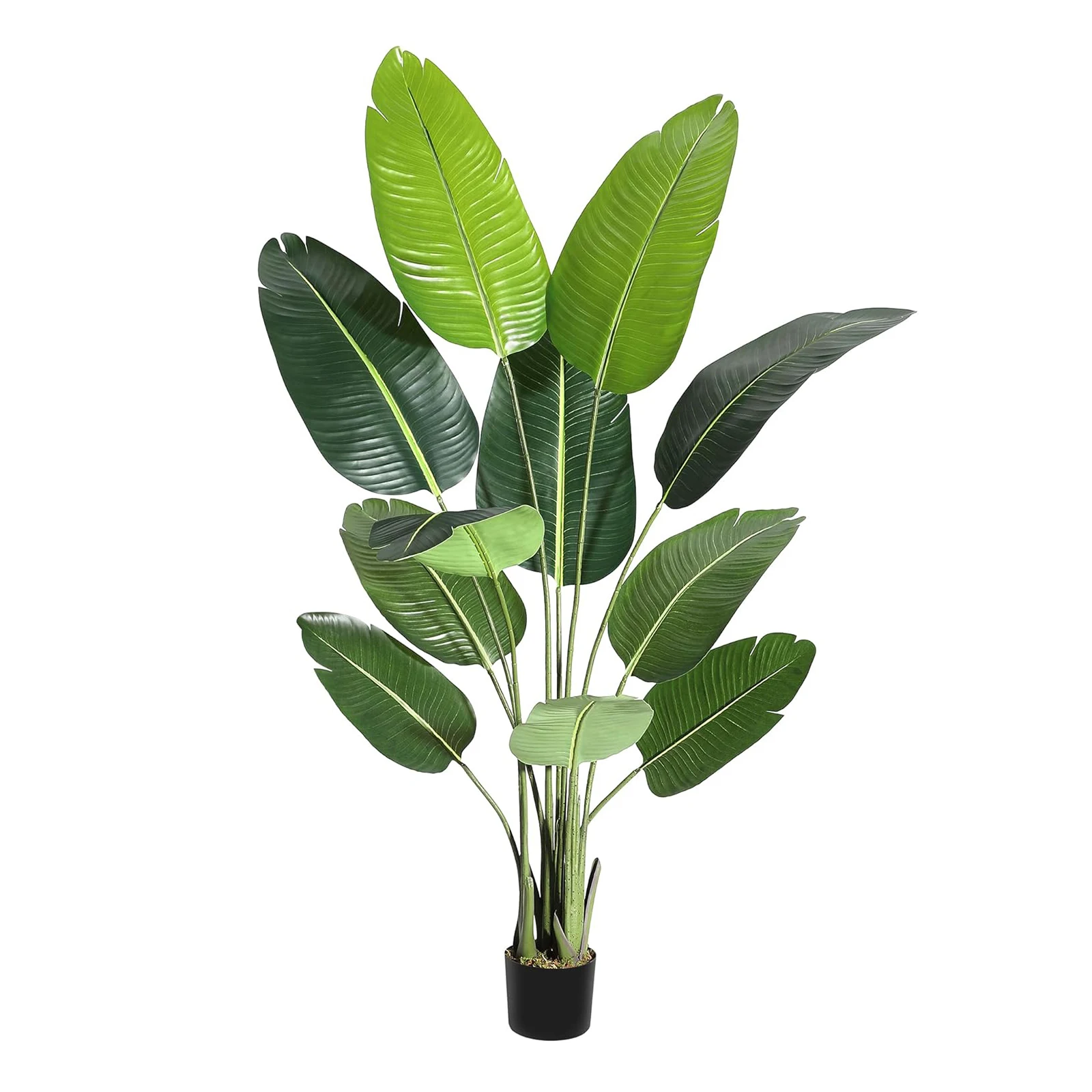 5.5ft Artificial Tree Bird of Paradise with 11 Trunks Faux Plants Fake Banana Tree Plant with Pot for Home Decor
5.5ft Artificial Tree Bird of Paradise with 11 Trunks Faux Plants Fake Banana Tree Plant with Pot for Home Decor