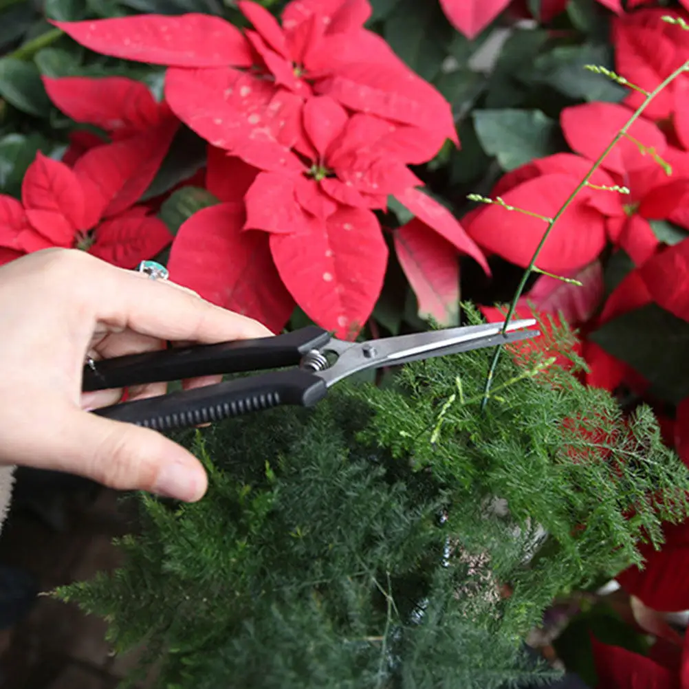 5Pcs Professional Garden Pruning Shear Heavy Duty Stainless Steel Fruit Scissor for Orchard Yard Pasture Branch Trimming
5Pcs Professional Garden Pruning Shear Heavy Duty Stainless Steel Fruit Scissor for Orchard Yard Pasture Branch Trimming