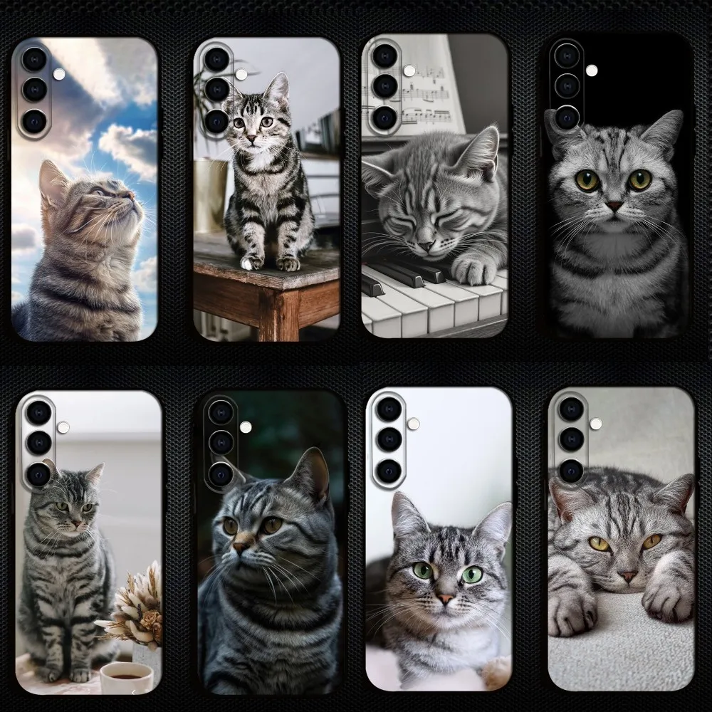 Cute American Shorthair Cat Phone Case For Samsung Galaxy A73/A72/A71/A70/A53/A52/A51/Others Soft Black Shell
Cute American Shorthair Cat Phone Case For Samsung Galaxy A73/A72/A71/A70/A53/A52/A51/Others Soft Black Shell