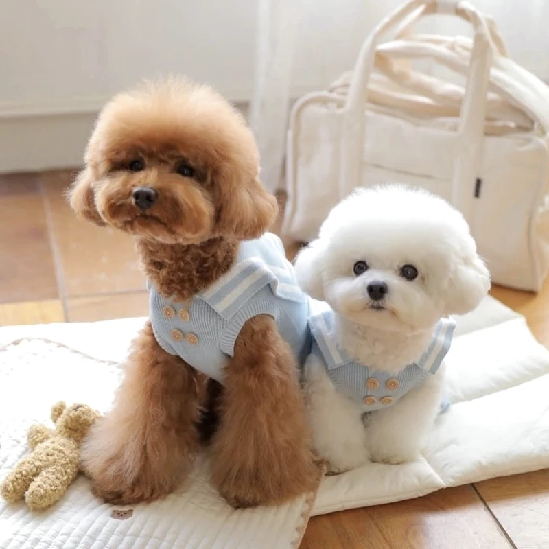 Pet Knitted Sweater Teddy Couple Clothing Bears Knitted Sweater Small Dog Winter Warm Clothing Cute Dog Clothes
Pet Knitted Sweater Teddy Couple Clothing Bears Knitted Sweater Small Dog Winter Warm Clothing Cute Dog Clothes