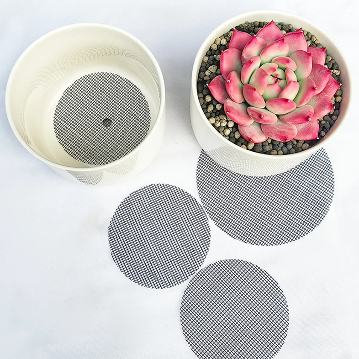 50Pcs Prevent Soil Loss Breathable Glass Fiber Gasket Leakproof Drainage Flower Pot Hole Mesh Pad Bottom Mat Breathable Net
50Pcs Prevent Soil Loss Breathable Glass Fiber Gasket Leakproof Drainage Flower Pot Hole Mesh Pad Bottom Mat Breathable Net