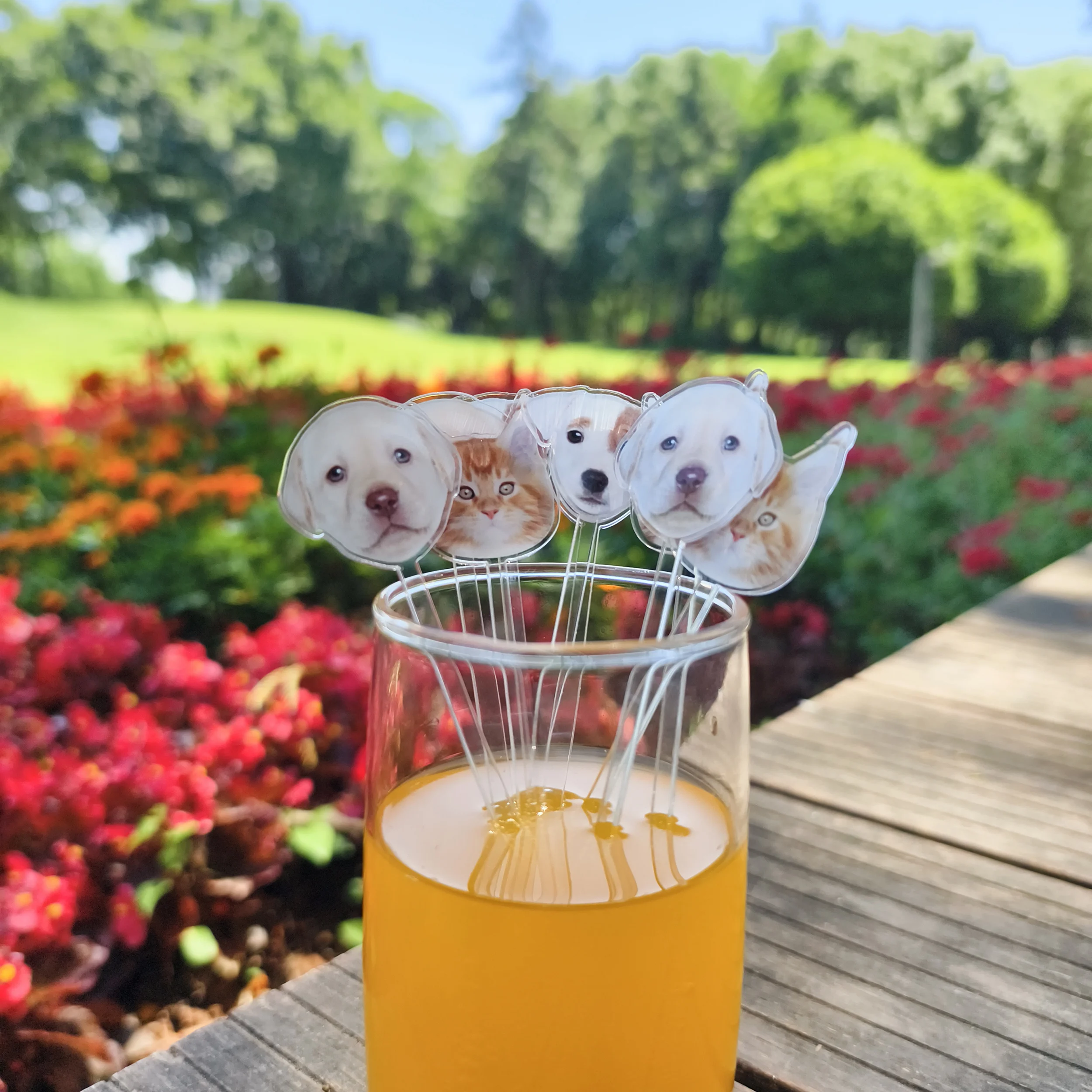 Pet photos Drink Stir Wedding Gift Table Decoration Personalized Cocktail Stirrers Acrylic Party Drink Stirs Party souvenir
Pet photos Drink Stir Wedding Gift Table Decoration Personalized Cocktail Stirrers Acrylic Party Drink Stirs Party souvenir