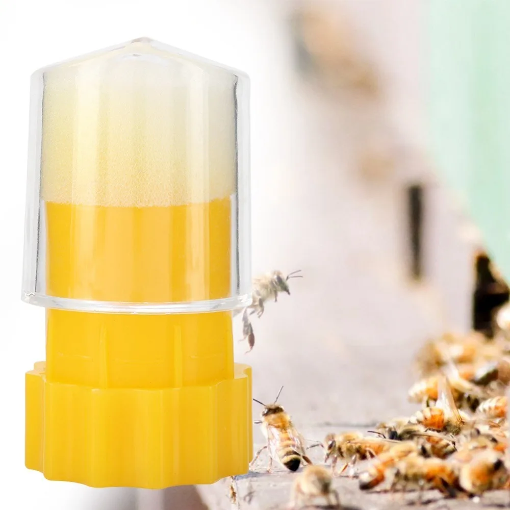 Durable Plastic Queen Bee Marking Catcher with Plunger Plush Handed Bee Cage Strong Beekeeper Tool Garden Bee Tools
Durable Plastic Queen Bee Marking Catcher with Plunger Plush Handed Bee Cage Strong Beekeeper Tool Garden Bee Tools