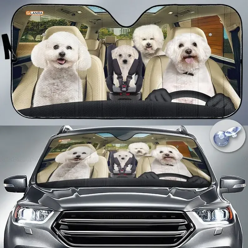 Автомобильный солнцезащитный козырек Bichon Frise, женский, автомобильный солнцезащитный козырек, подарок для папы, автомобильное ветровое стекло PHT292204G03
Автомобильный солнцезащитный козырек Bichon Frise, женский, автомобильный солнцезащитный козырек, подарок для папы, автомобильное ветровое стекло PHT292204G03