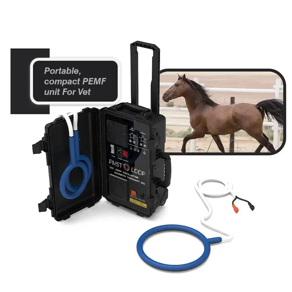 PEMF Equine Loop Magnetic Therapy For Horse Hock Disease Treatment Physiotherapy Machine
PEMF Equine Loop Magnetic Therapy For Horse Hock Disease Treatment Physiotherapy Machine