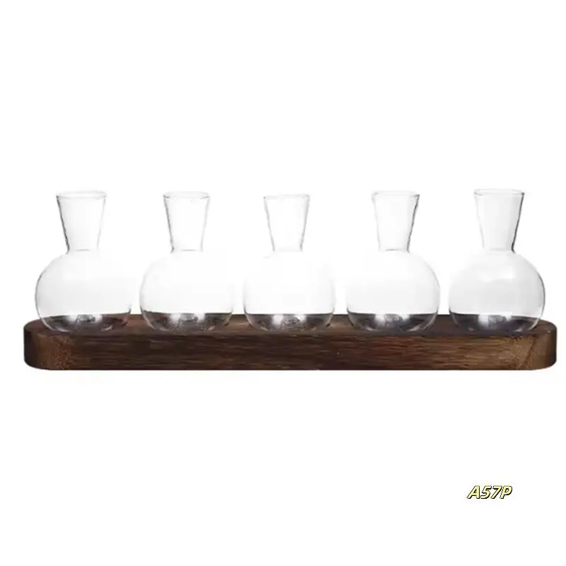 Plant Terrarium Glass Vase Modern Transparent With Wooden Tray, Indoor Desktop Decor
Plant Terrarium Glass Vase Modern Transparent With Wooden Tray, Indoor Desktop Decor