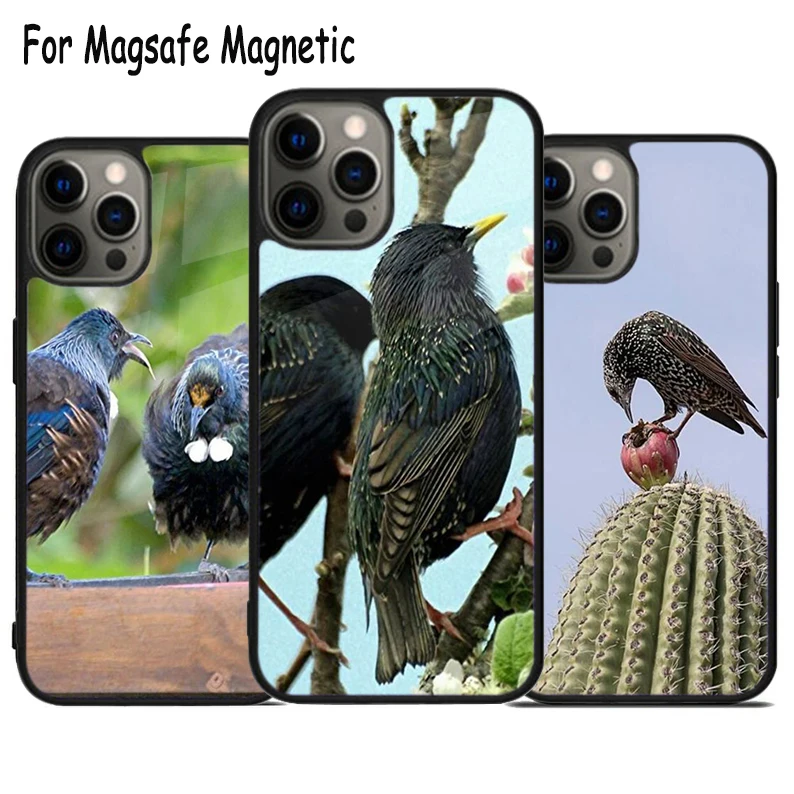 Garden Birds Starling Wireless Charge Magsafe Phone Case For iPhone 15 16 14 13 11 12 Pro Max Plus Magnetic Bumper Cover
Garden Birds Starling Wireless Charge Magsafe Phone Case For iPhone 15 16 14 13 11 12 Pro Max Plus Magnetic Bumper Cover