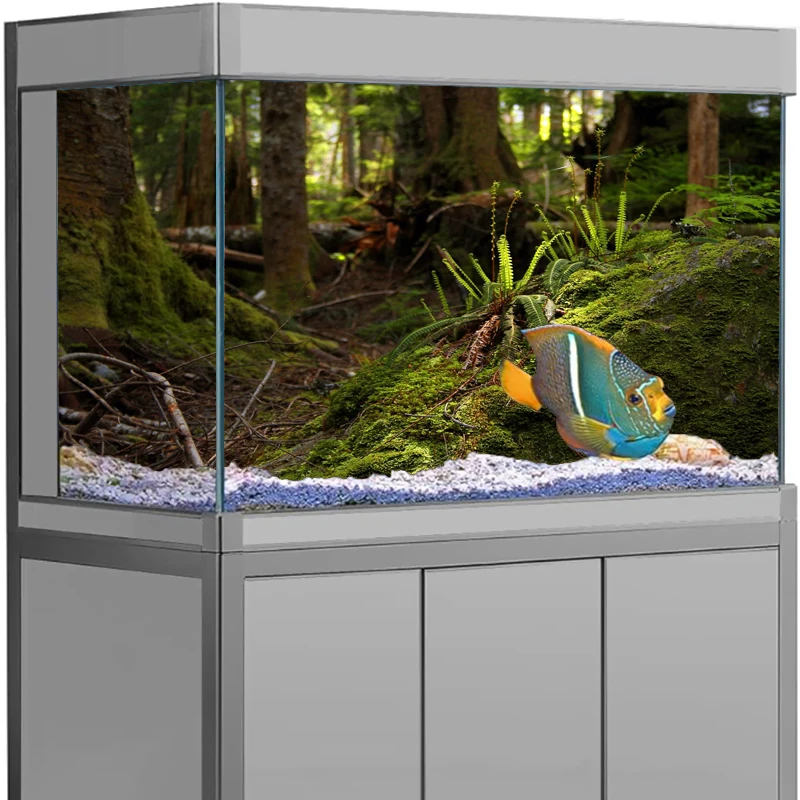 Forest Landscape Aquarium Vinyl Sticker Background Poster HD Rock Stone Self Adhesive Fish Tank Wallpaper 3d Background
Forest Landscape Aquarium Vinyl Sticker Background Poster HD Rock Stone Self Adhesive Fish Tank Wallpaper 3d Background