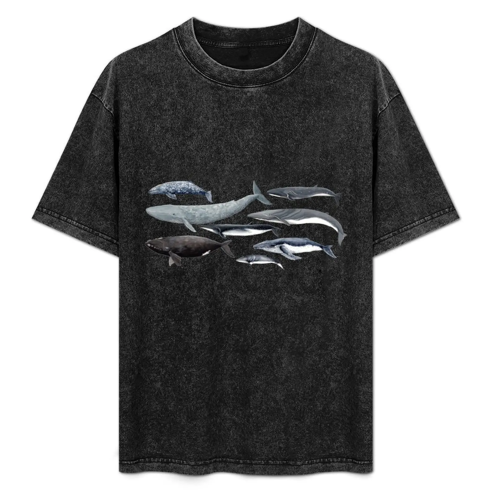 Whales and right whale T-Shirt Stretch Fabric Comfort T-Shirt
Whales and right whale T-Shirt Stretch Fabric Comfort T-Shirt