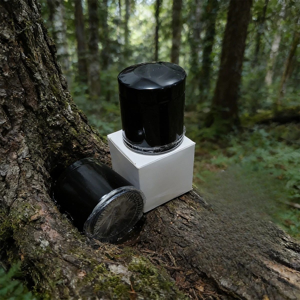 1/2/4pc Motorbike Oil Filter Part for Har/ley Davi/dson FXDWG Dyna Wide Glide FXDXI Dyna Super Glide Sport EFI FXFBS Fat Bob 114
1/2/4pc Motorbike Oil Filter Part for Har/ley Davi/dson FXDWG Dyna Wide Glide FXDXI Dyna Super Glide Sport EFI FXFBS Fat Bob 114