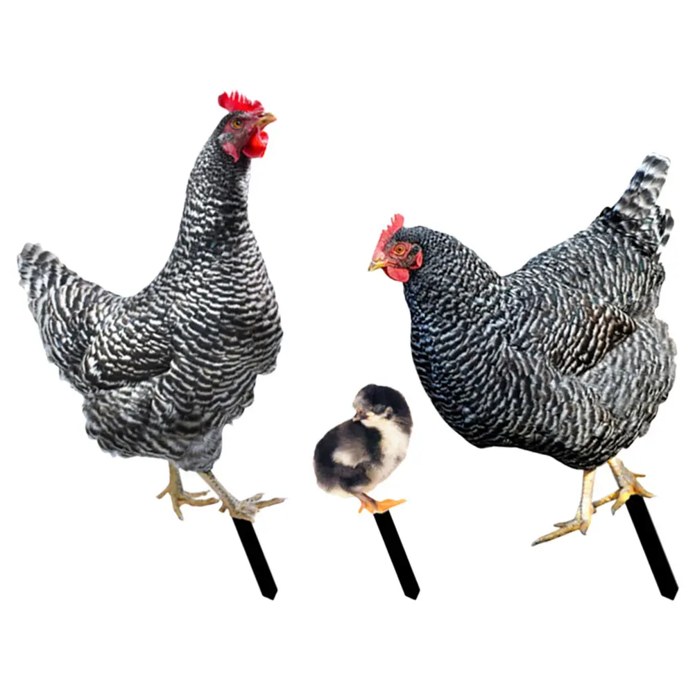 3 Pcs Acrylic Chicken Yards Art Lawn Stake Decorations for Garden Farmhouse Rustic Style Outdoor Yard Sign Display
3 Pcs Acrylic Chicken Yards Art Lawn Stake Decorations for Garden Farmhouse Rustic Style Outdoor Yard Sign Display