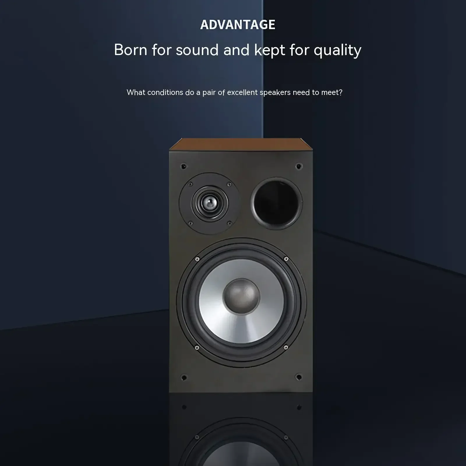 YAQIN MS-100M Bookshelf Speaker 8 "Hi-Fi 2.0 Passive HiFi Fever Home Stereo Factory Direct Sales
YAQIN MS-100M Bookshelf Speaker 8 "Hi-Fi 2.0 Passive HiFi Fever Home Stereo Factory Direct Sales
