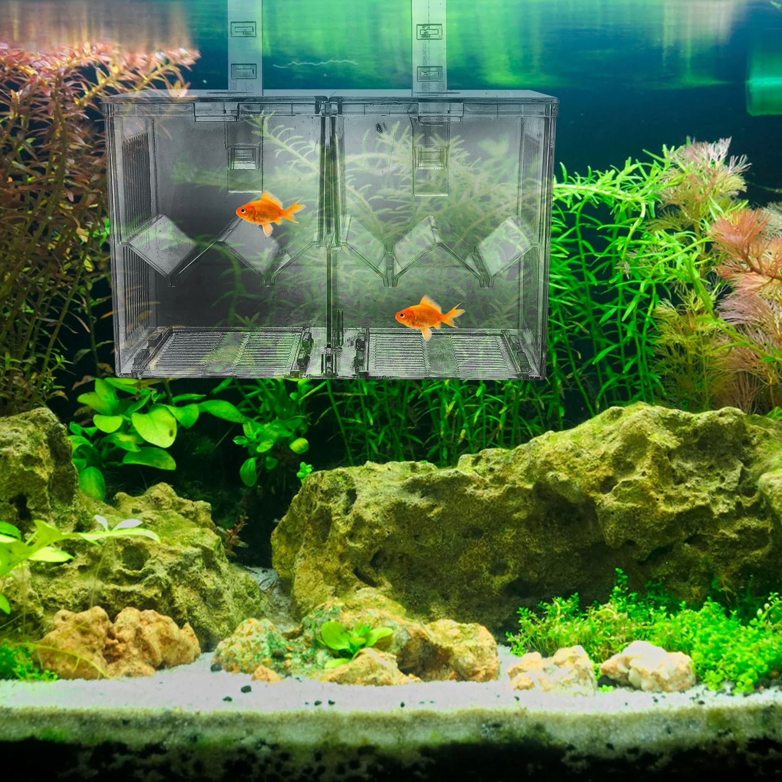 Fish Tank Incubator Breeding Boxes Hatchery Incubators Aquarium Isolation Case Hatching Holder
Fish Tank Incubator Breeding Boxes Hatchery Incubators Aquarium Isolation Case Hatching Holder