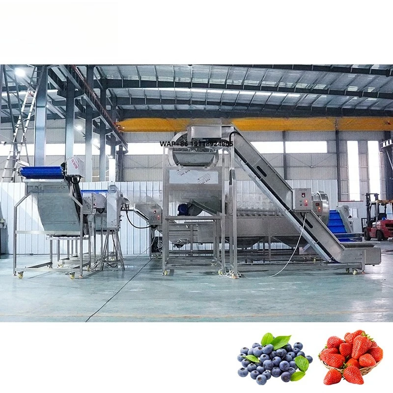 High Efficiency Berry Destemming and Washing Line Integrated Stalk Removal Machine Bubble Washer for Cherry Strawberry Berries
High Efficiency Berry Destemming and Washing Line Integrated Stalk Removal Machine Bubble Washer for Cherry Strawberry Berries