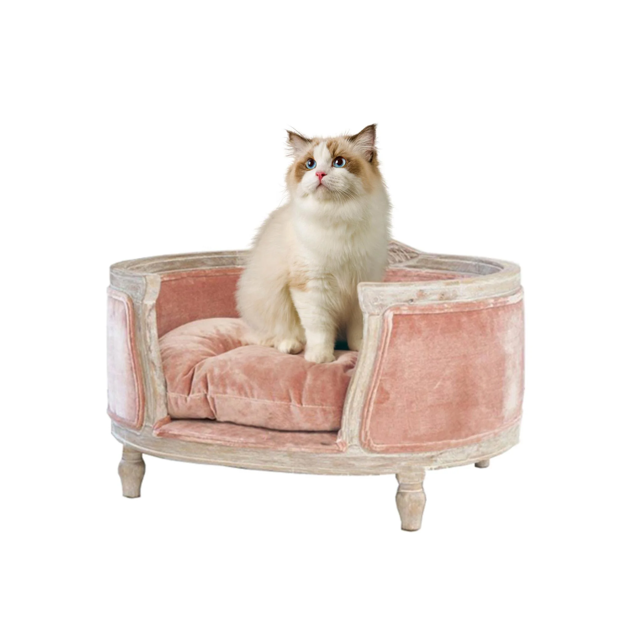 Luxury Modern Eco-Friendly Solid Wood Cat Nest and Pet Sofa Indoor Furniture for Large Dogs and Cats Comes in Carton Packaging
Luxury Modern Eco-Friendly Solid Wood Cat Nest and Pet Sofa Indoor Furniture for Large Dogs and Cats Comes in Carton Packaging