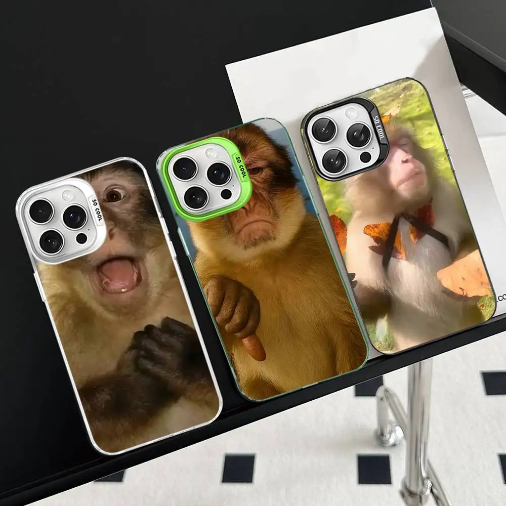 Popular Internet M-Monkey M-Meme Colorful Phone Case Cover Suitable For iPhone 12 11 13 14 15 16 17 Max Pro Plus
Popular Internet M-Monkey M-Meme Colorful Phone Case Cover Suitable For iPhone 12 11 13 14 15 16 17 Max Pro Plus