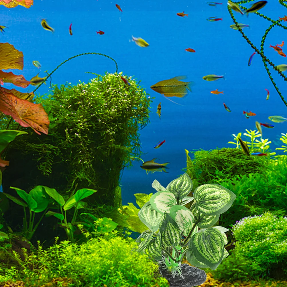 2 Pcs Aquarium Plastic Aquarium Plants Decorations for Fish Tank Accessories Plastic Plants Hideout Durability
2 Pcs Aquarium Plastic Aquarium Plants Decorations for Fish Tank Accessories Plastic Plants Hideout Durability
