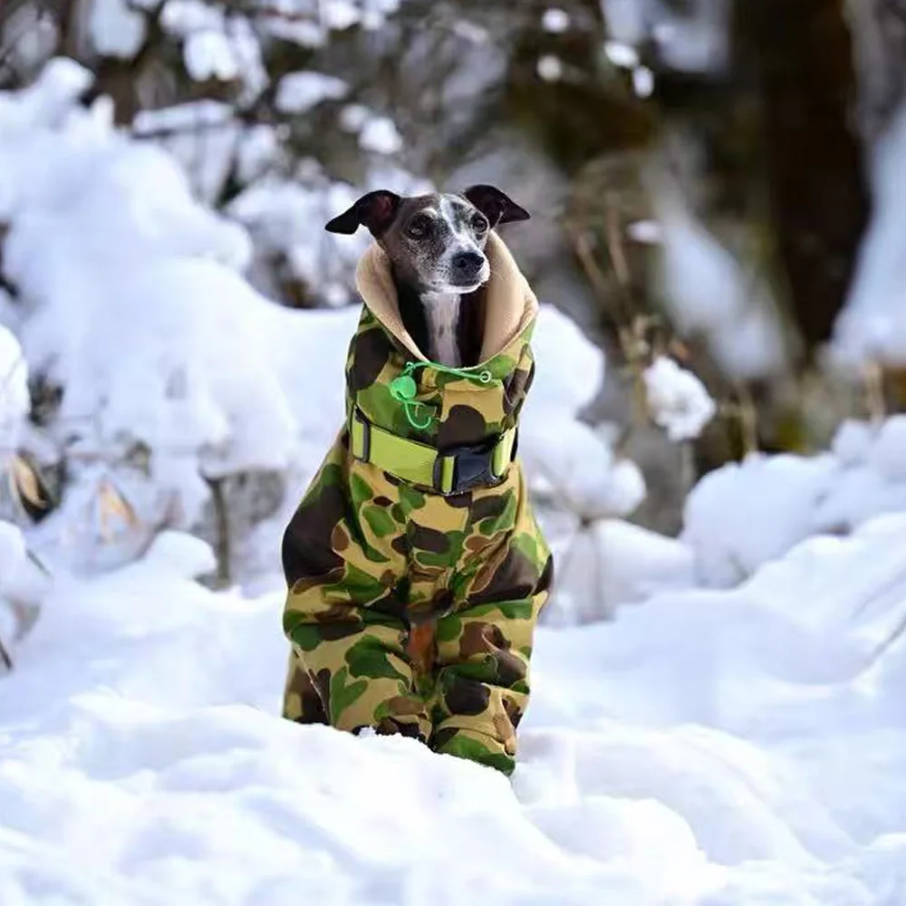 Камуфляжная ветрозащитная водонепроницаемая куртка для Италии, борзая, толстая теплая толстовка с высоким воротом и 4 рукавами для маленьких собак Meida Whippet
Камуфляжная ветрозащитная водонепроницаемая куртка для Италии, борзая, толстая теплая толстовка с высоким воротом и 4 рукавами для маленьких собак Meida Whippet