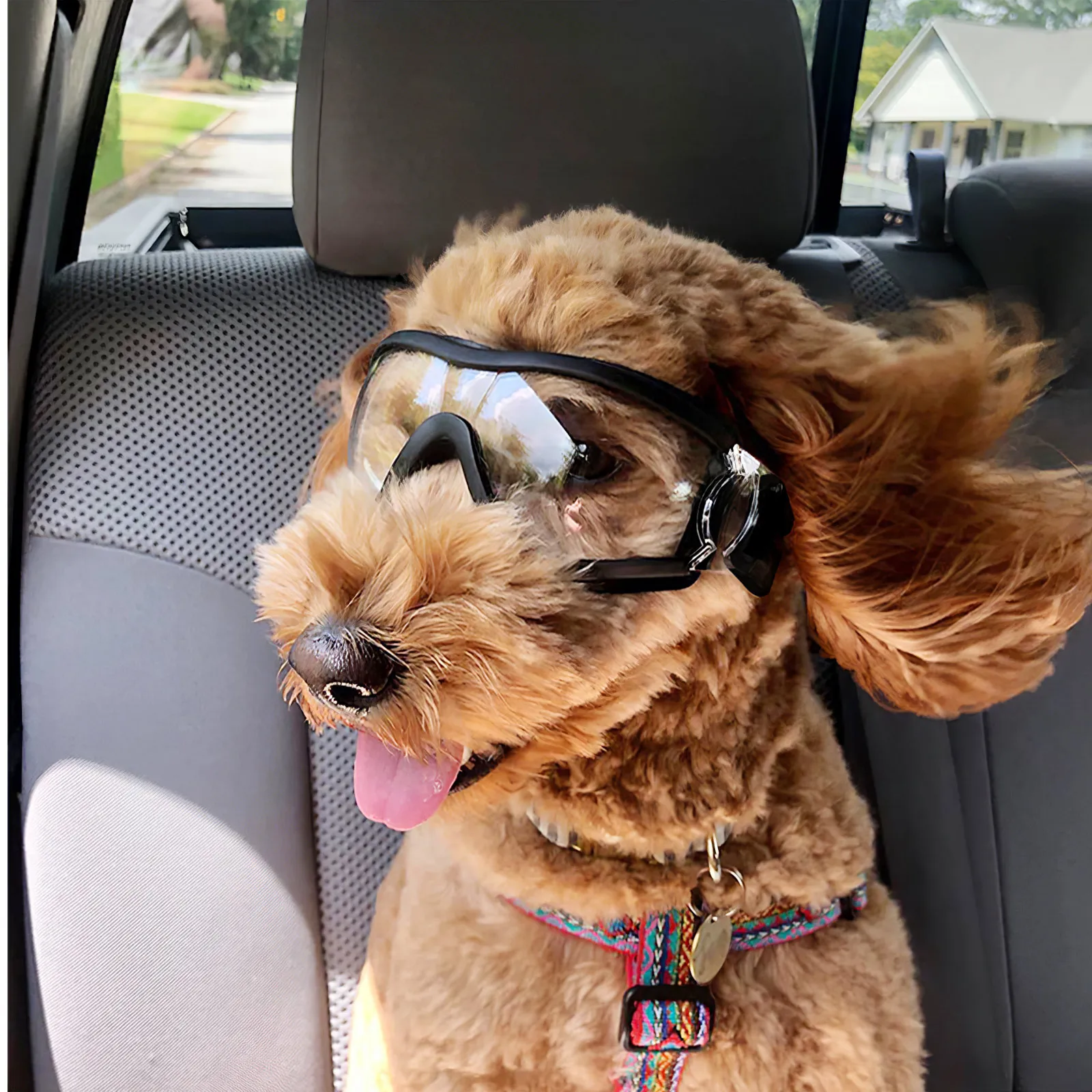 Pet Goggles Dog Eye Protection Glasses UV Sunglasses Outdoor Clear Protective Water Proof
Pet Goggles Dog Eye Protection Glasses UV Sunglasses Outdoor Clear Protective Water Proof