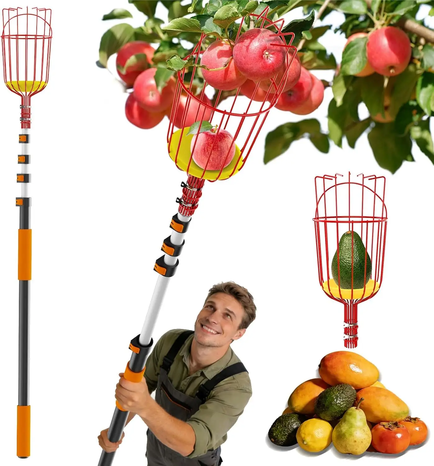 26ft Heavy Duty Telescoping Fruit Picker with Basket, 5-20ft Adjustable Aluminum Pole for Mango Avocado Lemon
26ft Heavy Duty Telescoping Fruit Picker with Basket, 5-20ft Adjustable Aluminum Pole for Mango Avocado Lemon