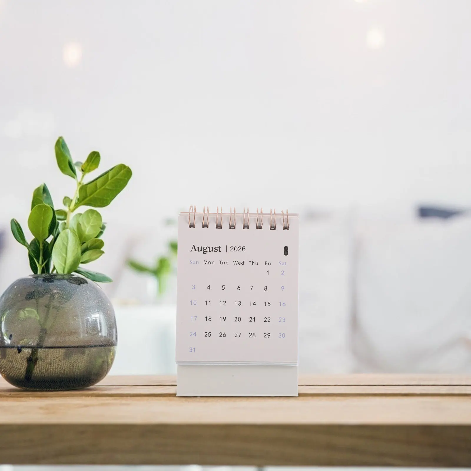 2026 Mini Desk Calendar Minimalist Standing Flip Table Calendar Smooth Flip Premium Paper Monthly Planner for Office School Home
2026 Mini Desk Calendar Minimalist Standing Flip Table Calendar Smooth Flip Premium Paper Monthly Planner for Office School Home