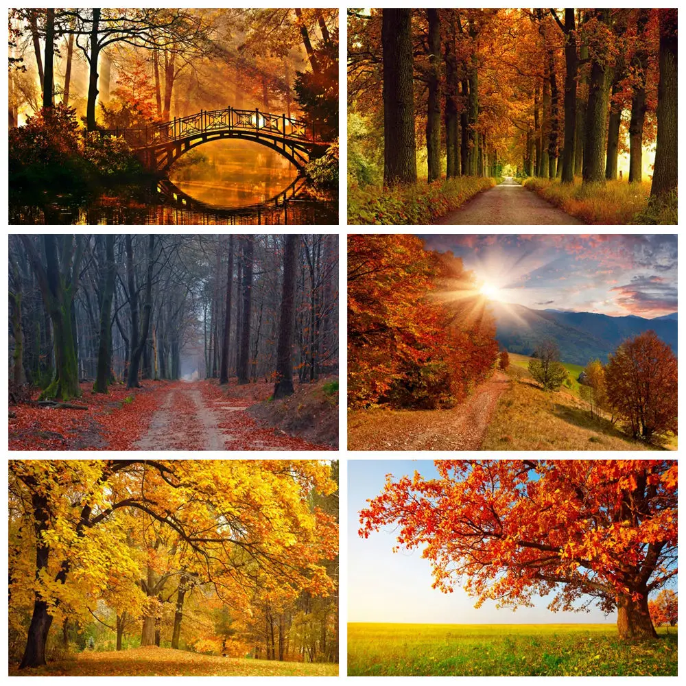 Autumn Forest Photography Backdrop Fall Golden Maple Leaves Road Landscape Wedding Baby Shower Party Portrait Photo Background
Autumn Forest Photography Backdrop Fall Golden Maple Leaves Road Landscape Wedding Baby Shower Party Portrait Photo Background