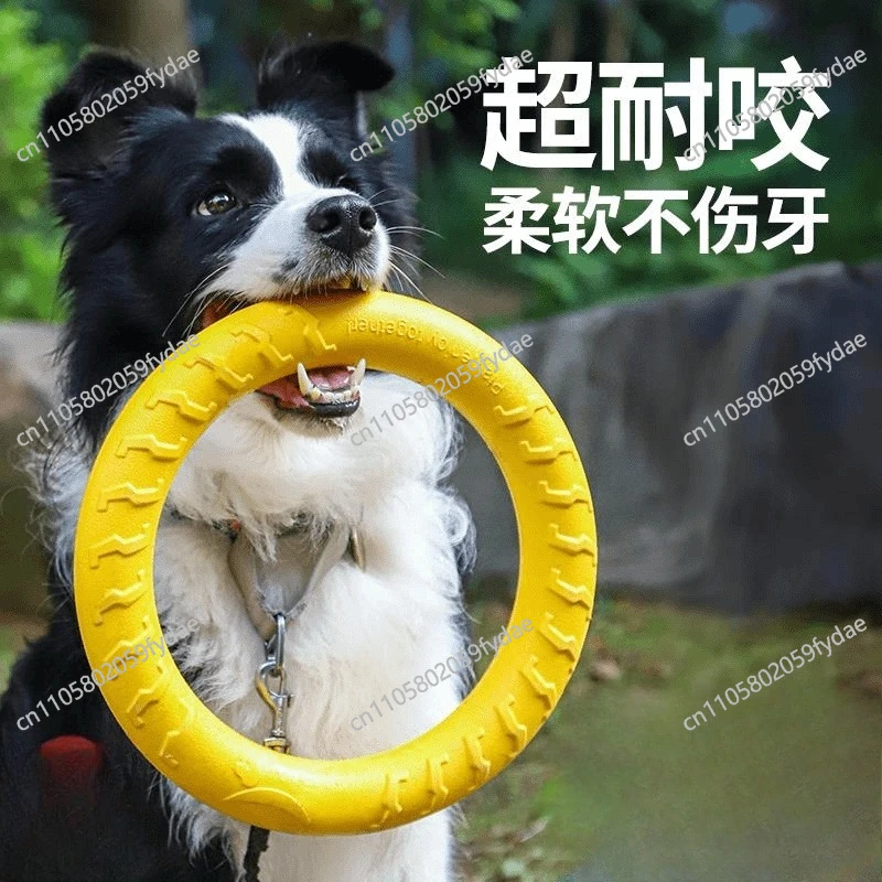 Pet toys can't bite dog Frisbee, dog toys to relieve boredom pet ball puppy supplies dog pull ring
Pet toys can't bite dog Frisbee, dog toys to relieve boredom pet ball puppy supplies dog pull ring