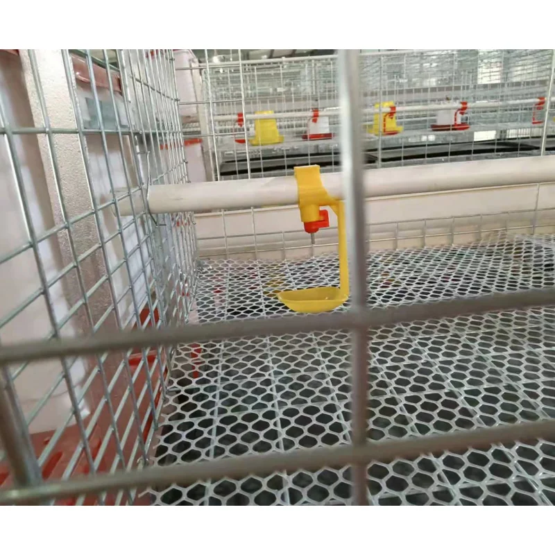 Best Price Chicken Coop, Chicks, Broilers, Durable Chicken Coop Eggs Layer Cages for Sale in Poultry Farms
Best Price Chicken Coop, Chicks, Broilers, Durable Chicken Coop Eggs Layer Cages for Sale in Poultry Farms