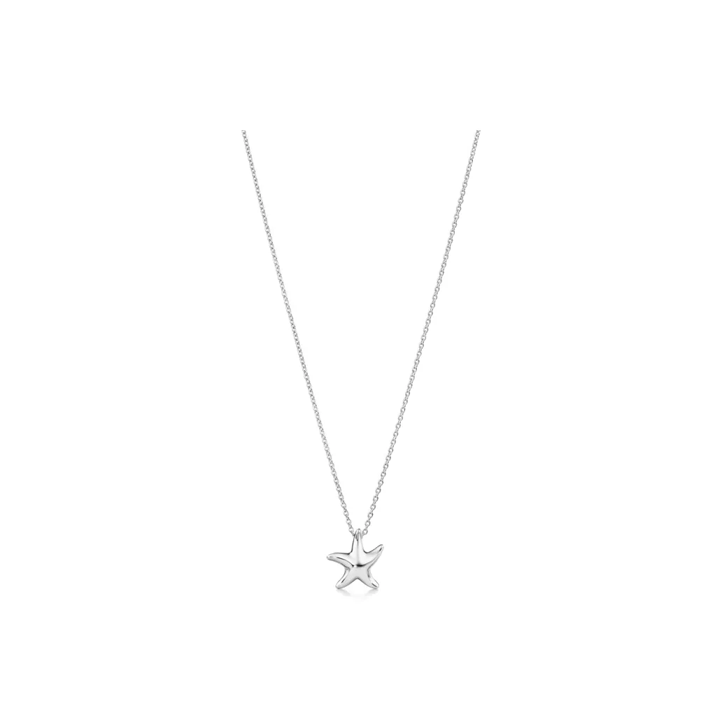 TIFFANY & CO. Elsa Peretti® Sterling Silver Necklaces Unisex Silver 26195248
TIFFANY & CO. Elsa Peretti® Sterling Silver Necklaces Unisex Silver 26195248