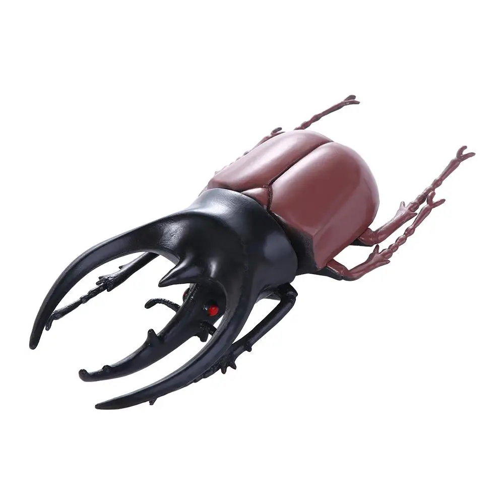 Teaching Aids Beetle Figures Insect Toy Kids Fake Beetle Simulation Beetle Special Lifelike Model Insect Model Beetle Toys
Teaching Aids Beetle Figures Insect Toy Kids Fake Beetle Simulation Beetle Special Lifelike Model Insect Model Beetle Toys