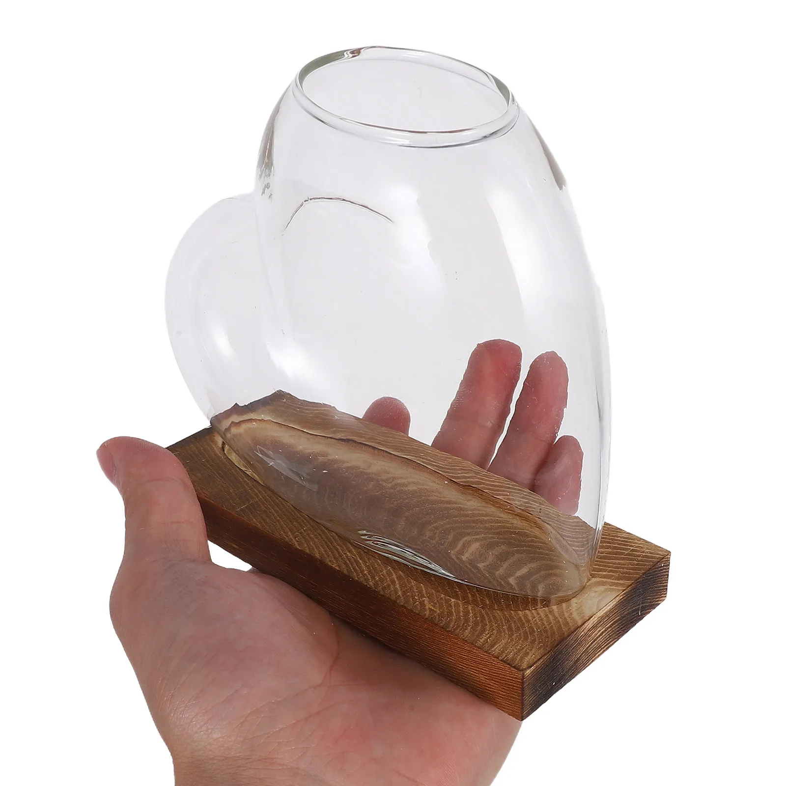 Heart Glass Hydroponic Vase Wooden Base Plant Propagation Desk Shelf Windowsill Home Decor Planter Creative Hydroponic Vase
Heart Glass Hydroponic Vase Wooden Base Plant Propagation Desk Shelf Windowsill Home Decor Planter Creative Hydroponic Vase