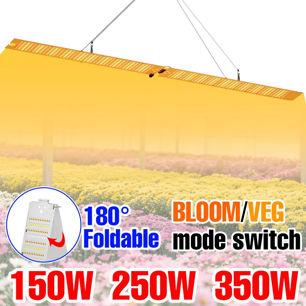 350W LED Quantum Board Plant Light Full Spectrum Indoor Growth Box Greenhouse Hydroponic Vegetables Seeding Fill Lighting
350W LED Quantum Board Plant Light Full Spectrum Indoor Growth Box Greenhouse Hydroponic Vegetables Seeding Fill Lighting