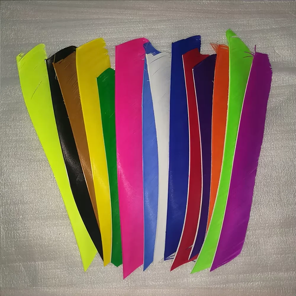 50 Pcs 18-25CM Full Length Turkey Arrow Feathers RW Turkey Feathers Fletches Archery Bow Hunting Accessories
50 Pcs 18-25CM Full Length Turkey Arrow Feathers RW Turkey Feathers Fletches Archery Bow Hunting Accessories