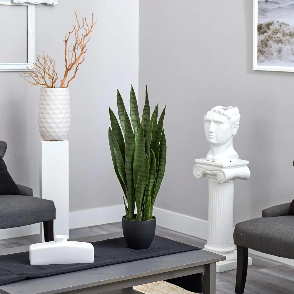 Artificial Simulation Plant, Home Decor Accent Nearly Natural, Green 35in, with Black Planter
Artificial Simulation Plant, Home Decor Accent Nearly Natural, Green 35in, with Black Planter