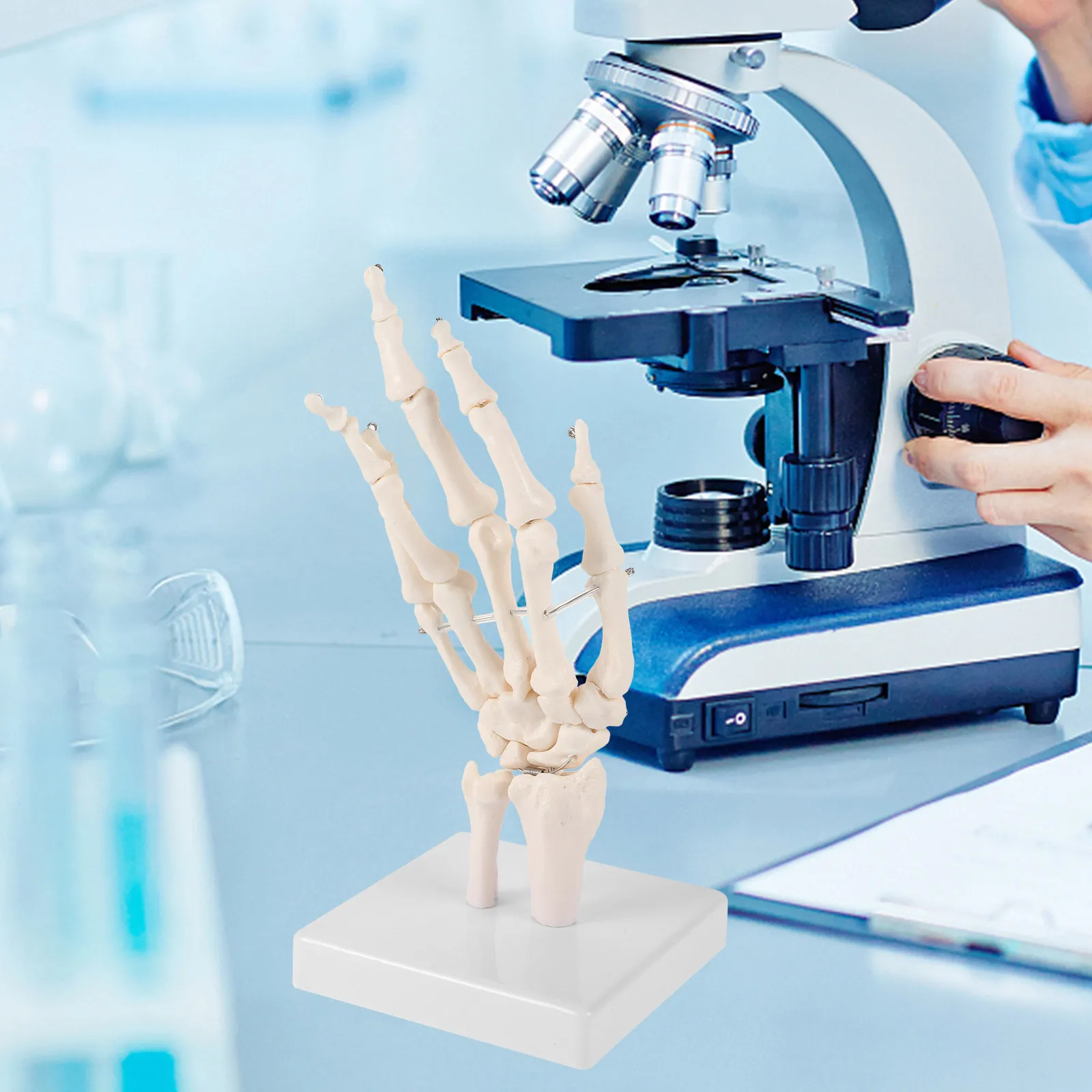 Human Hand Bone Joint Anatomical Scientific Teaching Equipment Human Articulating Labs Tool for Education
Human Hand Bone Joint Anatomical Scientific Teaching Equipment Human Articulating Labs Tool for Education
