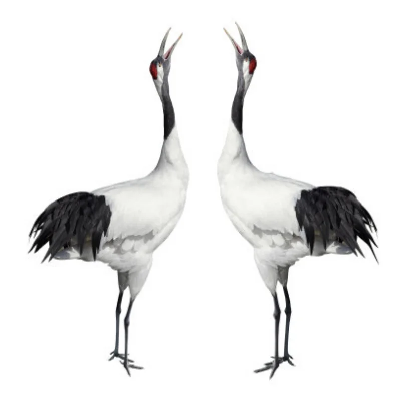 RC Racing Car Tires WRC Rally Tyres 12mm Hex for 1/10 RC On Road Car Tamiya TT01 TT02 XV01 XV02 PTG-2 HSP HPI Kyosho MST Parts
RC Racing Car Tires WRC Rally Tyres 12mm Hex for 1/10 RC On Road Car Tamiya TT01 TT02 XV01 XV02 PTG-2 HSP HPI Kyosho MST Parts