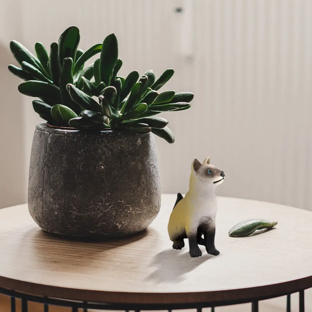 Siamese Cat Plastic Cognitive Educational Prop Desktop Ornament Simulation Plastic Cat Adornment Natural Science Early Education
Siamese Cat Plastic Cognitive Educational Prop Desktop Ornament Simulation Plastic Cat Adornment Natural Science Early Education