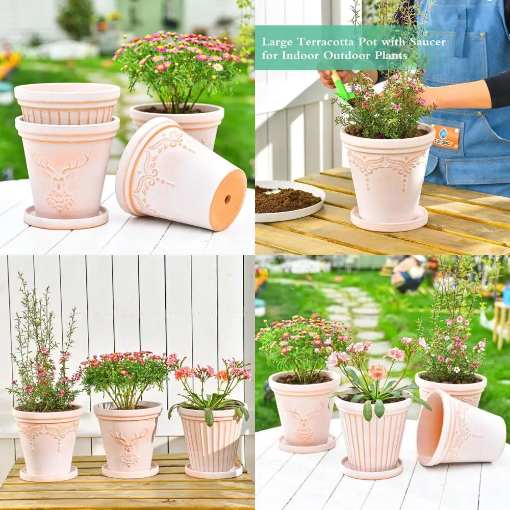 Набор терракотовых кастрюль из 3 предметов с блюдцем, глубокие кашпо 8 дюймов для орхидей, кактусов и суккулентов, декоративный тисненый дизайн
Набор терракотовых кастрюль из 3 предметов с блюдцем, глубокие кашпо 8 дюймов для орхидей, кактусов и суккулентов, декоративный тисненый дизайн