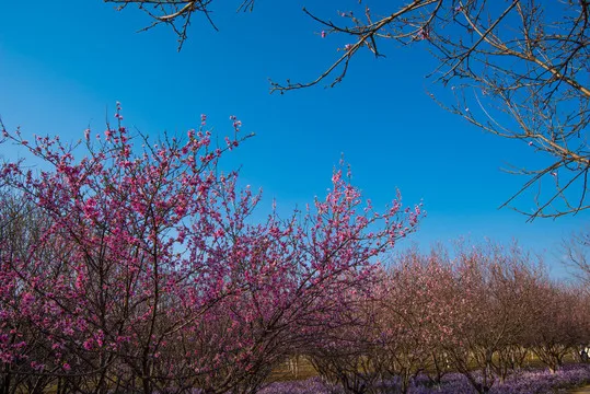 4Pcs 2.2 Inch Metal Alloy Beadlock Wheel Hub Rim Rims Aluminum Alloy for TRX4 TRX6 Axial SCX10 III 1/10 RC Crawler
4Pcs 2.2 Inch Metal Alloy Beadlock Wheel Hub Rim Rims Aluminum Alloy for TRX4 TRX6 Axial SCX10 III 1/10 RC Crawler