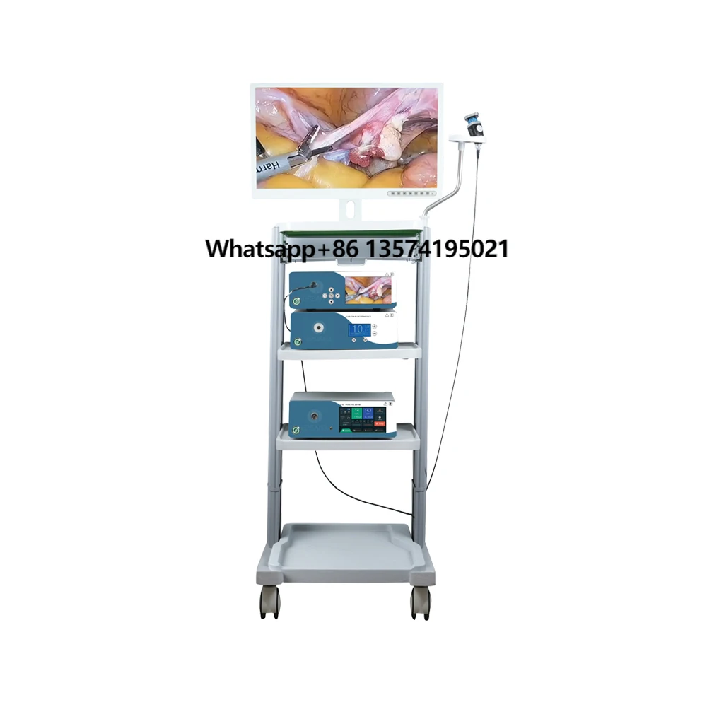 Medical 1080P Digital Full HD Endoscope Equipment Endoscopy Video System With FHD Camera Head
Medical 1080P Digital Full HD Endoscope Equipment Endoscopy Video System With FHD Camera Head