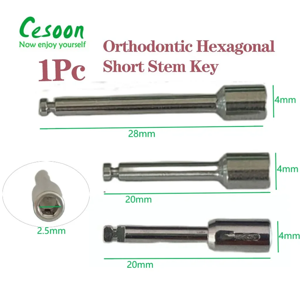 1Pc Dental Orthodontic Implant Hexagonal Short Stem Driver Low Handpiece Surgery Tools Dental Implant Dentistry Accessories
1Pc Dental Orthodontic Implant Hexagonal Short Stem Driver Low Handpiece Surgery Tools Dental Implant Dentistry Accessories