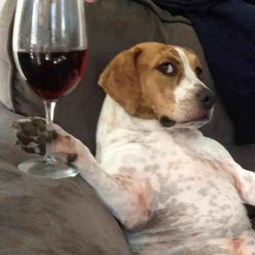 Универсальный практичный багажник на крышу автомобиля с LED-подсветкой для радиоуправляемых квадроциклов JJRC C8801 1/18, квадратная лампа
Универсальный практичный багажник на крышу автомобиля с LED-подсветкой для радиоуправляемых квадроциклов JJRC C8801 1/18, квадратная лампа