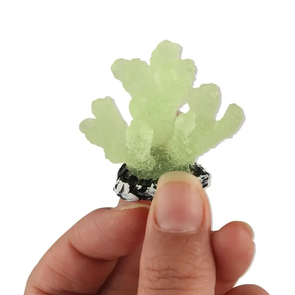 Decorative Simulation Coral Reefs Fluorescent Realistic Glowing Decor Coral Artificial Coral Resin Luminous Coral Model
Decorative Simulation Coral Reefs Fluorescent Realistic Glowing Decor Coral Artificial Coral Resin Luminous Coral Model